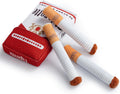 Cigarette Box Dog Chew Toy – Sound Bite-Resistant Plush