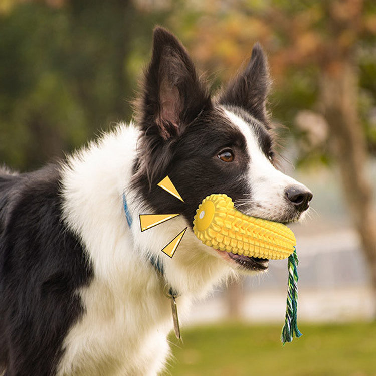 Corn Molar Stick Dog Toy – Squeaky Toothbrush Chew Toy