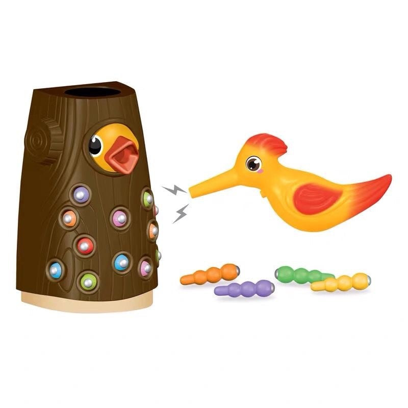 Magnetic Fishing & Insect Catching Toy – Kids Educational Game